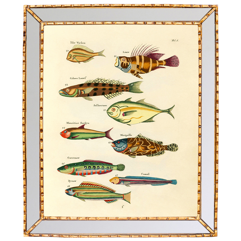 Постер в зеркальной раме Fish Guide 2 Мульти Золотой Постер в зеркальной раме Fish Guide 2 Мульти Золотой в Брянске | Loft Concept