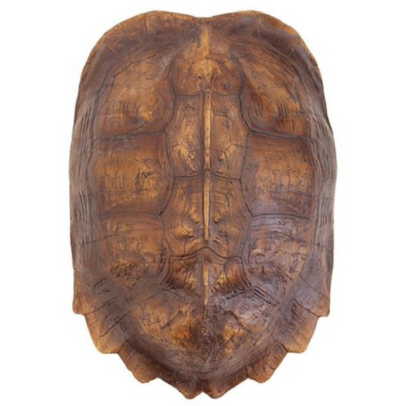 Аксессуар Turtle Shell Natural Light Brown Коричневый Аксессуар Turtle Shell Natural Light Brown Коричневый в Брянске | Loft Concept