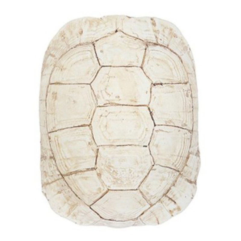 Аксессуар Turtle Shell White Бежевый Аксессуар Turtle Shell White Бежевый в Брянске | Loft Concept