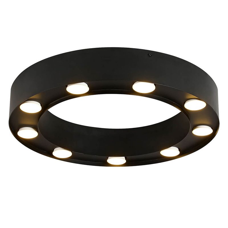 Потолочный светильник Dugan Ceiling Lamp 50 Черный Потолочный светильник Dugan Ceiling Lamp 50 Черный в Брянске | Loft Concept
