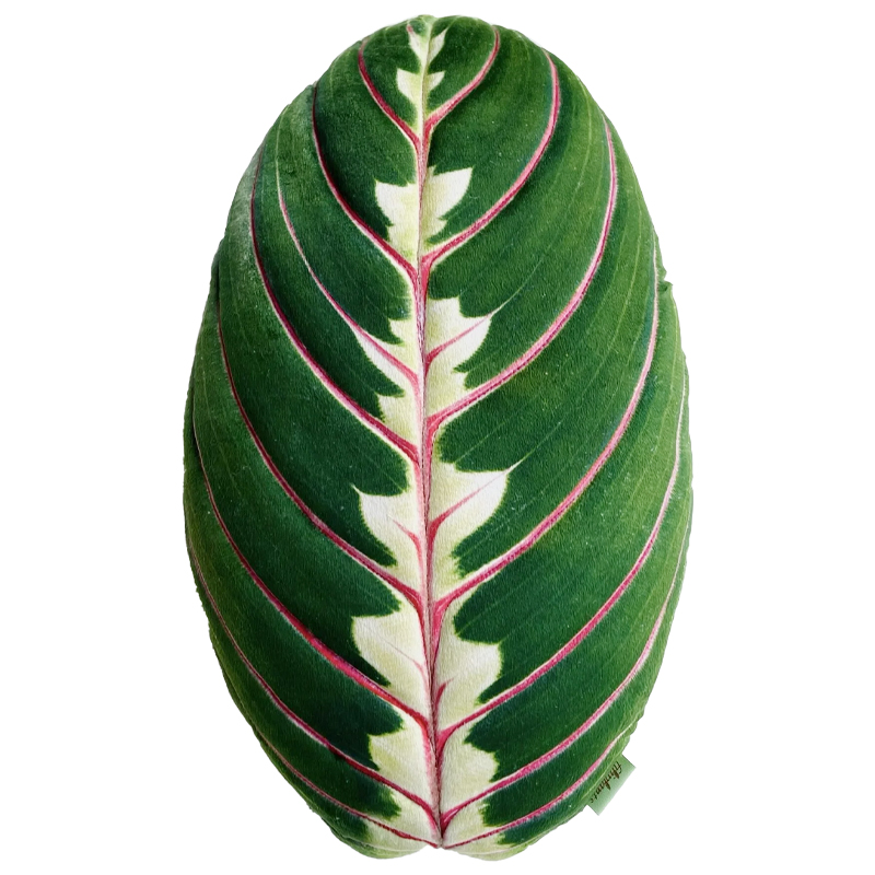 Декоративная подушка Botanical Cushion Maranta Trikolor Зеленый Бургундский красный Декоративная подушка Botanical Cushion Maranta Trikolor Зеленый Бургундский красный в Брянске | Loft Concept