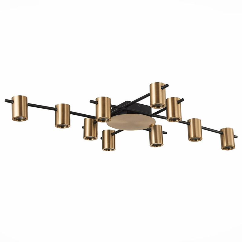 Потолочный светильник Aigle Ceiling Light 10 Черный Латунь Потолочный светильник Aigle Ceiling Light 10 Черный Латунь в Брянске | Loft Concept