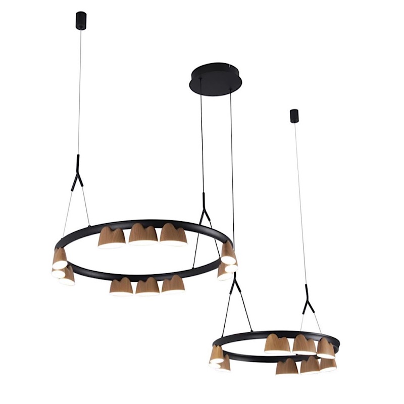 Люстра Wooden Eco Light Черный матовый Люстра Wooden Eco Light Черный матовый в Брянске | Loft Concept