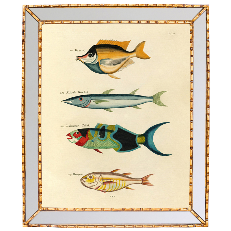 Постер в зеркальной раме Fish Guide 3 Мульти Золотой Постер в зеркальной раме Fish Guide 3 Мульти Золотой в Брянске | Loft Concept