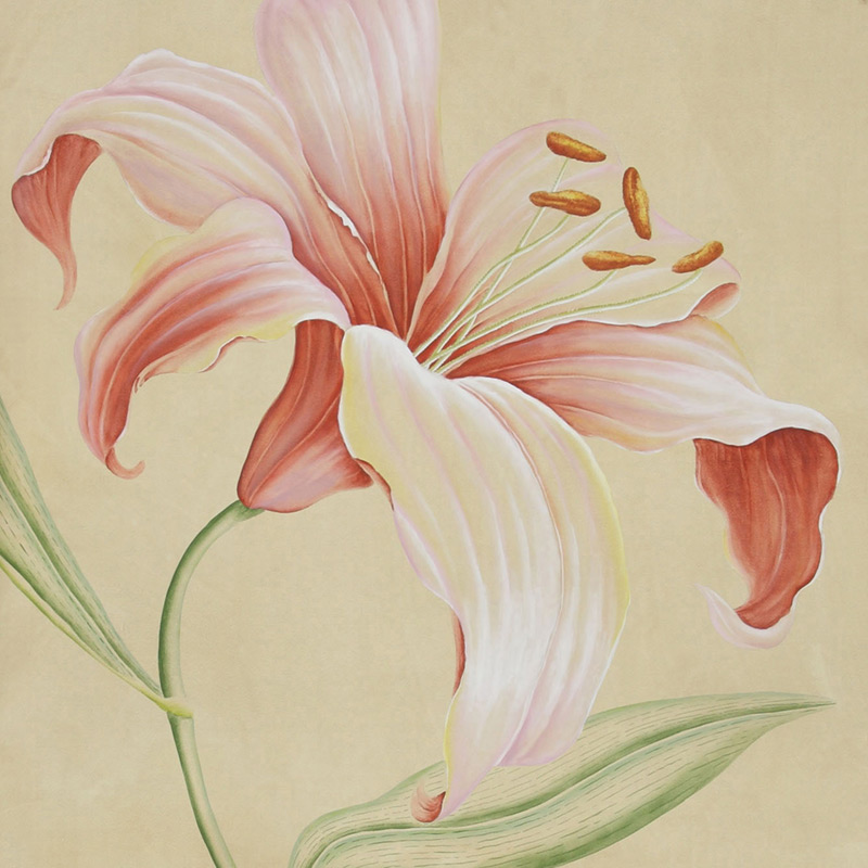Обои ручная роспись Lilium Special Colourway on yellow painted silk Обои ручная роспись Lilium Special Colourway on yellow painted silk в Брянске | Loft Concept
