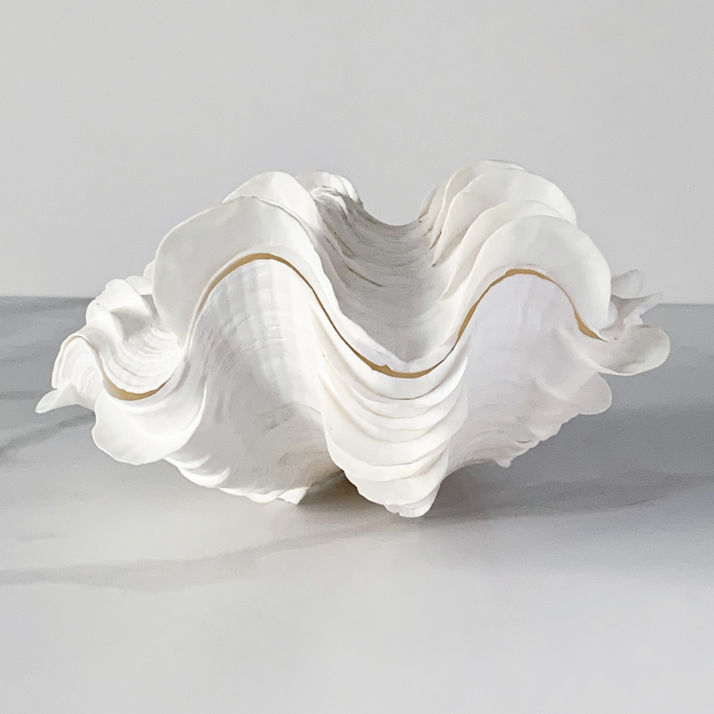 Статуэтка Tridacna Squamosa Shell Статуэтка Tridacna Squamosa Shell в Брянске | Loft Concept