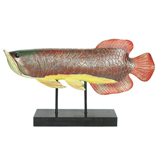 Аксессуар для интерьера рыба Colored Fish Аксессуар для интерьера рыба Colored Fish в Брянске | Loft Concept