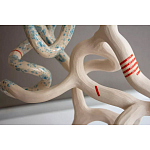 Скульптура «Papañca» варинант исполнения - 3 | Loft Concept в Брянске