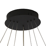 Люстра светодиодная с 3-мя плафонами в форме колец из акрила и алюминия с пультом для регулировки света Ring Horizontal Anthracite варинант исполнения - 5 | Loft Concept в Брянске