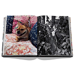 Книга подарочная Смелый бразильский стиль Сиг Бергамина Assouline Maximalism by Sig Bergamin варинант исполнения - 9 | Loft Concept в Брянске