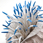 Статуэтка тропический фрукт Tropical Fruit White Blue варинант исполнения - 1 | Loft Concept в Брянске