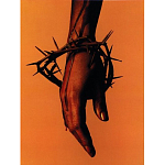 Подарочная книга величайший фотограф Альберт Уотсон The Vienna album Albert Watson варинант исполнения - 4 | Loft Concept в Брянске