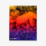 Редкое подарочное издание Yayoi Kusama: 1945 to Now варинант исполнения - 3 | Loft Concept в Брянске