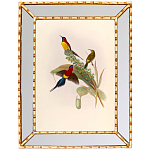 Постер с изображением птиц и цветов в зеркальной раме Blooming Birds Poster варинант исполнения - 4 | Loft Concept в Брянске