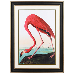 Постер Red Flamingo