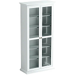 Шкаф Numb transparent варинант исполнения - 1 | Loft Concept в Брянске