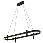 Люстра подвесная овальная черная  Black Light Fixtures варинант исполнения - 1 | Loft Concept в Брянске