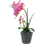 Декоративный искусственное растение Pink orchid варинант исполнения - 4 | Loft Concept в Брянске