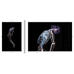 Монография художника Tavares Strachan - There is Light Somewhere варинант исполнения - 6 | Loft Concept в Брянске