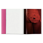 Книга Gisele Bundchen варинант исполнения - 7 | Loft Concept в Брянске