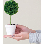 Декоративный искусственное растение Boxwood One варинант исполнения - 6 | Loft Concept в Брянске