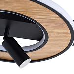 Потолочный светильник круглый GAVIN WOOD варинант исполнения - 2 | Loft Concept в Брянске