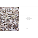 Книга Maison Lesage: Haute Couture Embroidery Mauries Patrick варинант исполнения - 11 | Loft Concept в Брянске