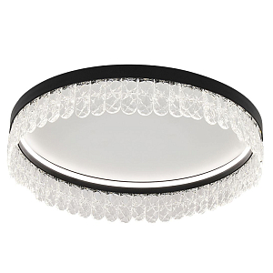 Потолочный светодиодный светильник Pettico Black