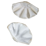 Фигурка из фарфора в виде одной створки ракушки Marine Tridacna варинант исполнения - 3 | Loft Concept в Брянске