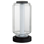 Настольная лампа с прозрачным плафоном Jarrty варинант исполнения - 1 | Loft Concept в Брянске