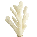 Статуэтка Stand Coral варинант исполнения - 2 | Loft Concept в Брянске