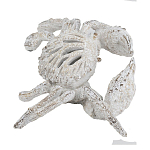 Статуэтка краб с детализированной текстурой в белом цвете Marine Accessories варинант исполнения - 4 | Loft Concept в Брянске