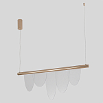 Люстра подвесная с пятью прозрачными элементами в форме лепестков и золотистым металлическим основанием DALI Tonin Casa варинант исполнения - 2 | Loft Concept в Брянске