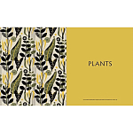 Книга The V&A Sourcebook of Pattern and Ornament варинант исполнения - 4 | Loft Concept в Брянске