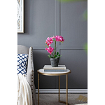 Декоративный искусственное растение Pink orchid варинант исполнения - 8 | Loft Concept в Брянске