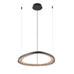 Люстра светодиодная  Iris варинант исполнения - 2 | Loft Concept в Брянске