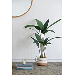 Декоративный искусственное растение Decor Stile  варинант исполнения - 7 | Loft Concept в Брянске