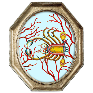 Картина Crab in Coral 3