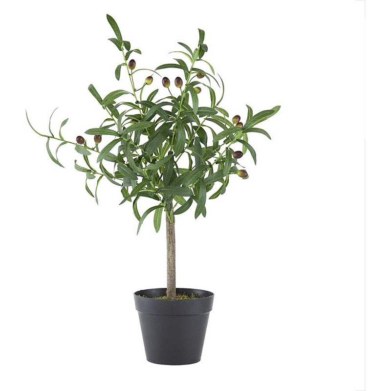 Декоративный искусственное растение Olive tree with fruits Зеленый Черный Коричневый Декоративный искусственное растение Olive tree with fruits Зеленый Черный Коричневый в Брянске | Loft Concept