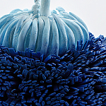 Статуэтка Синий тропический фрукт Tropical Fruit Pandora 1 варинант исполнения - 4 | Loft Concept в Брянске