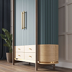 Шкаф «Гавайи» варинант исполнения - 2 | Loft Concept в Брянске