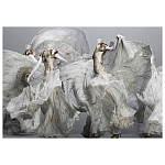 Alexander McQueen: Savage Beauty варинант исполнения - 2 | Loft Concept в Брянске