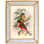 Постер с изображением птиц и цветов в зеркальной раме Blooming Birds Poster варинант исполнения - 7 | Loft Concept в Брянске