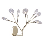 Бра в виде ветвей с прозрачными круглыми плафонами Moooi варинант исполнения - 1 | Loft Concept в Брянске