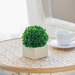 Декоративный искусственное растение Square boxwood варинант исполнения - 6 | Loft Concept в Брянске