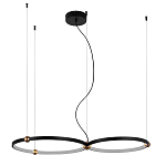 Люстра подвесная светодиодная черный металл Ring Horizontal варинант исполнения - 9 | Loft Concept в Брянске