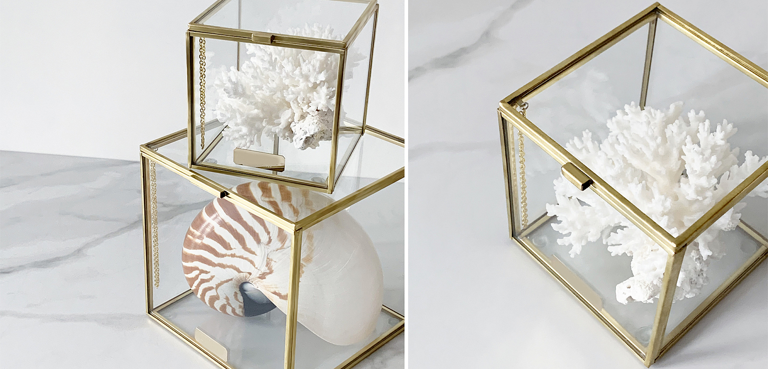 Статуэтка Natural Coral Glass Box S Статуэтка Natural Coral Glass Box S - Loft-Concept в Брянске