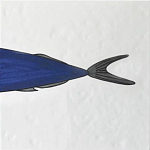 Плитка с узором Рыба пловчиха варинант исполнения - 6 | Loft Concept в Брянске