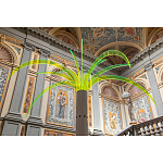 Дизайнерский торшер в виде пальмы Poltronova Sanremo Floor Lamp варинант исполнения - 9 | Loft Concept в Брянске