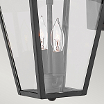 Настенный фонарь черного цвета с прозрачным стеклянным плафоном трапециевидной формы Hinkley варинант исполнения - 10 | Loft Concept в Брянске